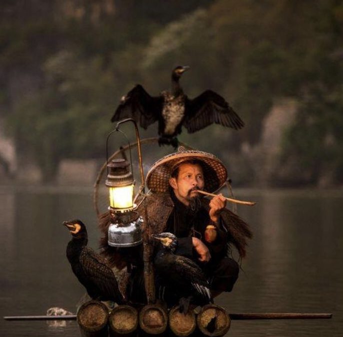 Vietnam pêcheur et cormorans