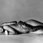 Les 20 Grands Photographes du XXe Siècle : Styles, Œuvres et Appareils Mythiques