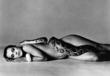 Les 20 Grands Photographes du XXe Siècle : Styles, Œuvres et Appareils Mythiques Nastassja Kinski, actress, Los Angeles, June 14, 1981