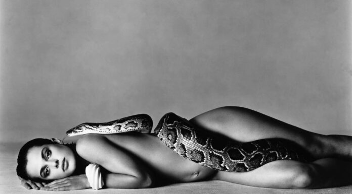 Les 20 Grands Photographes du XXe Siècle : Styles, Œuvres et Appareils Mythiques Nastassja Kinski, actress, Los Angeles, June 14, 1981