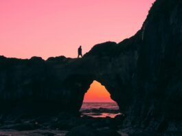 Lumière et Photographie : Voir, Ressentir, Capturer Découvrez comment apprendre à voir et utiliser la lumière