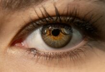 F – la lettre de Focale Format F/Stop télézoom ou macro. Exemple avec objectif 1200mm