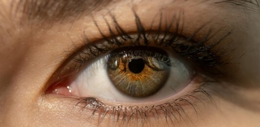 télézoom ou macro. Exemple avec objectif 1200mm