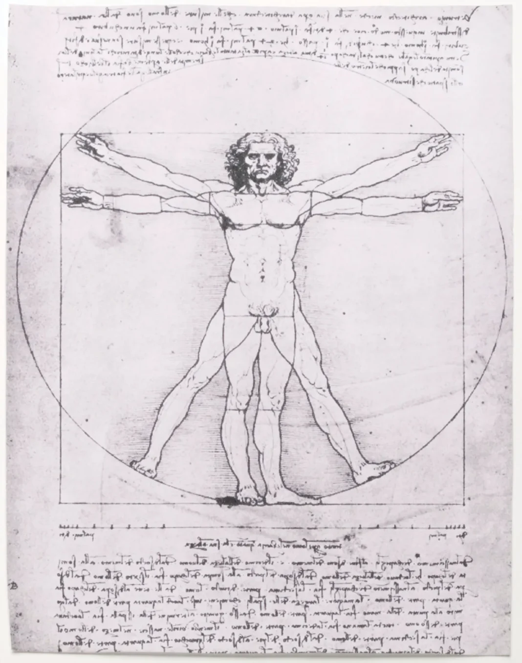 Vitruvian-Man-Leonardo-da-Vinci-Gallerie-dellAccademia Tomy Stere