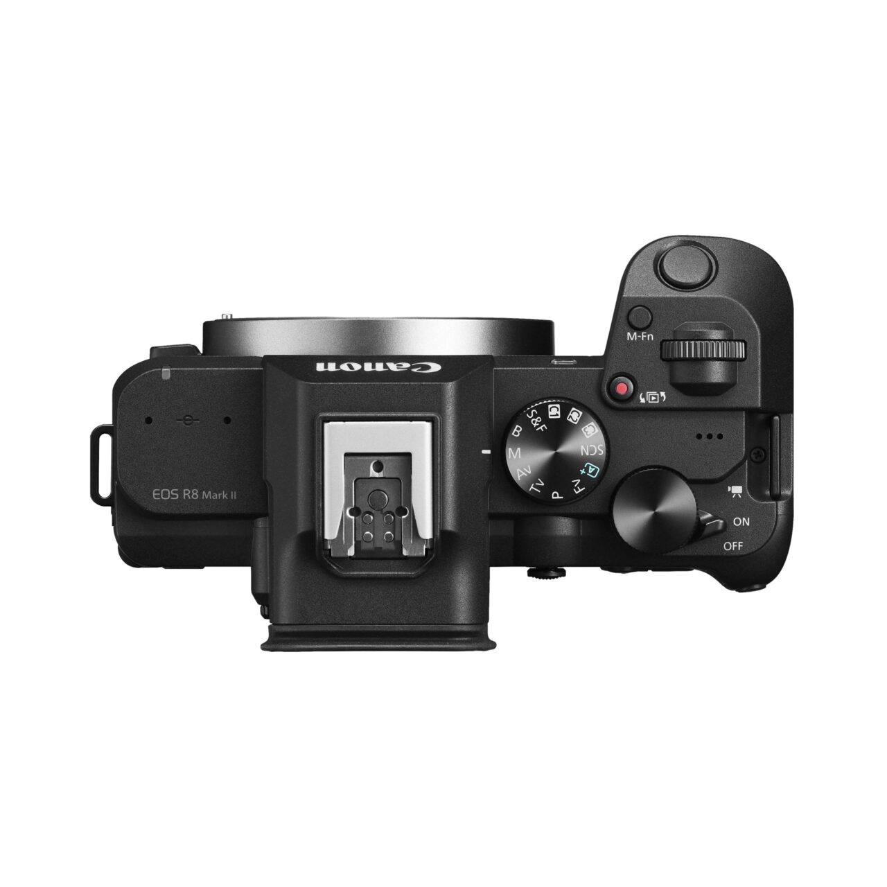 Vue de dessus du Canon EOS R8 Mark II : griffe multifonction, molettes et commutateur photo/vidéo